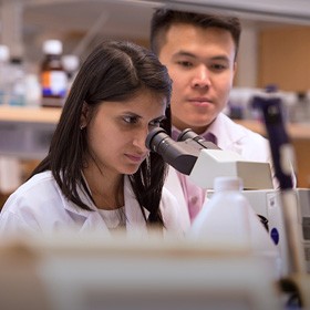 Graduate students in the lab